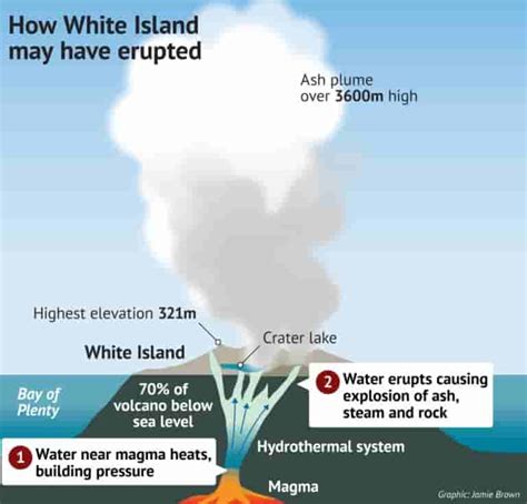 Is it still possible to visit Whakaari after the White Island volcano ...