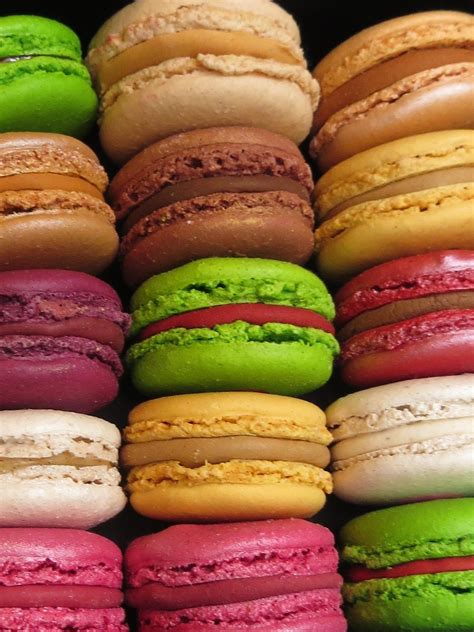 french macaron recipe