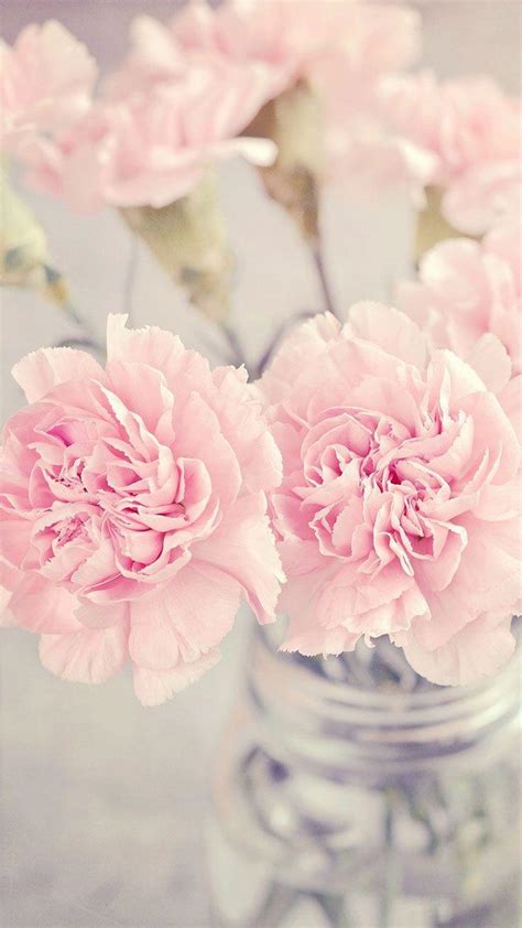 Pastel Pink Flower Wallpapers - Top Free Pastel Pink Flower Backgrounds ...