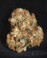 Buy White Berry Strain