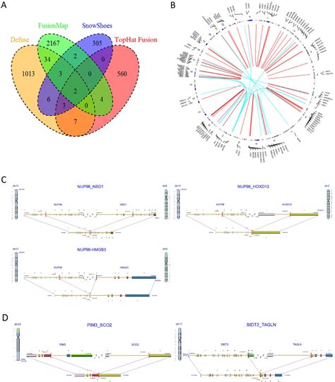 Identification of gene-fusion events in pediatric AML samples. (A ...