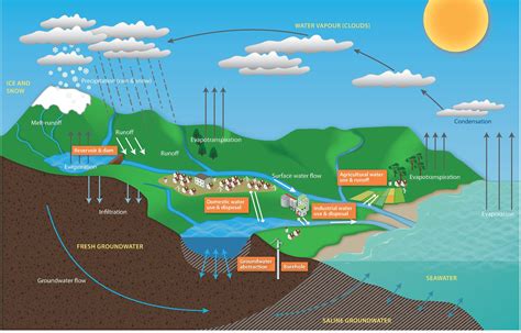 Draw And Label A Diagram Of Groundwater System Surface Water