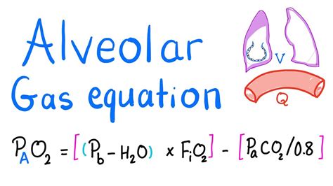 The Alveolar Gas Equation And Alveolar–Arterial PO2, 52% OFF