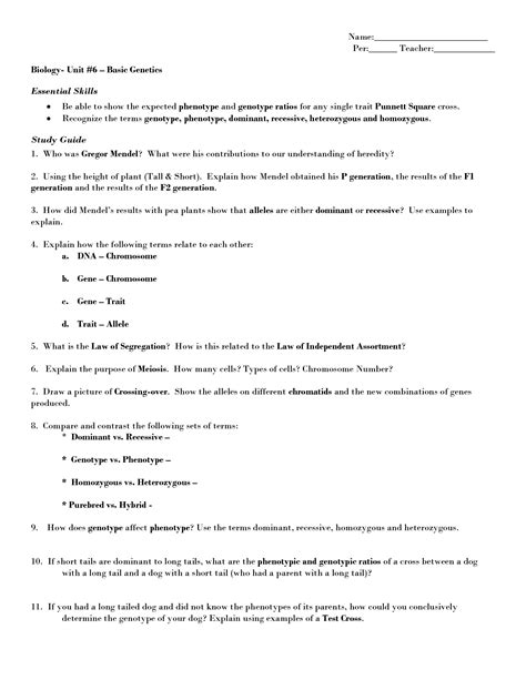 15 Genetic Punnett Squares Worksheets / worksheeto.com