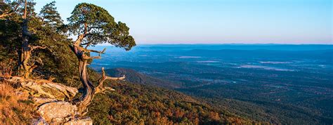 Mountain Home Arkansas Real Estate & Mountain Home AR Homes