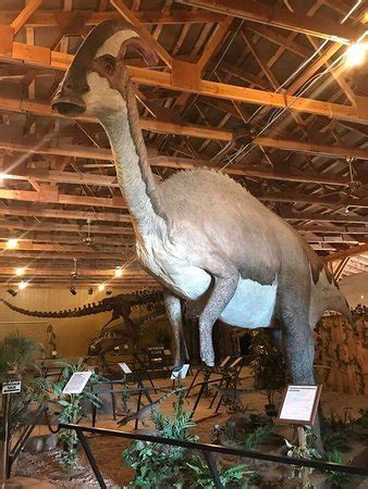 Dinosaur Museum (Rapid City) - 2019 All You Need to Know BEFORE You Go ...