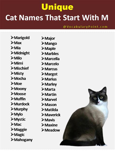 150+ Unique Cat Names in English (Black, Gray And Kitten) - Vocabulary ...