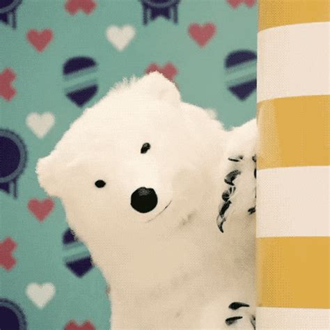 Polar Bear GIF - Find & Share on GIPHY