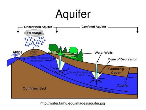 Aquifer Water Table Diagram Water Table Aquifer Diagram