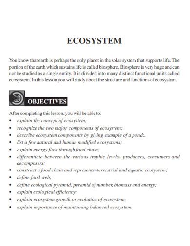 Ecosystem - 99+ Examples, How to Illustrate, PDF