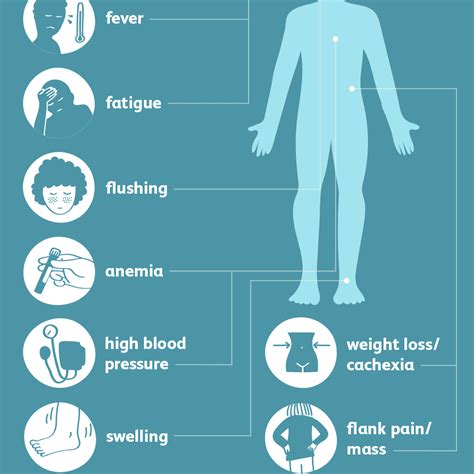 Symptoms Of Kidney Cancer In Elderly - CancerWalls