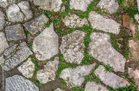 cobblestone with grass texture , stone path with grass texture ...