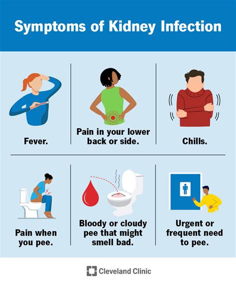 Understanding The Causes And Symptoms Of Kidney Infection - Ask The ...