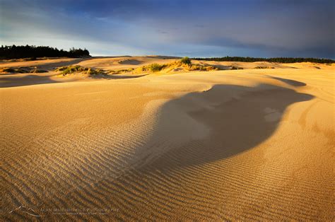 Oregon Dunes National Recreation Area - Alan Majchrowicz Photography