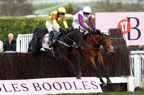 2024 Cheltenham Gold Cup Tips | Runner-By-Runner Guide and Verdict