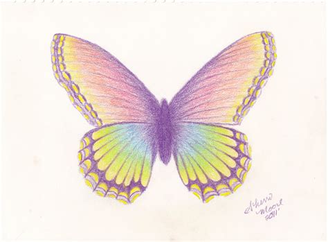 Butterfly Pencil Drawing At Getdrawings Free Download