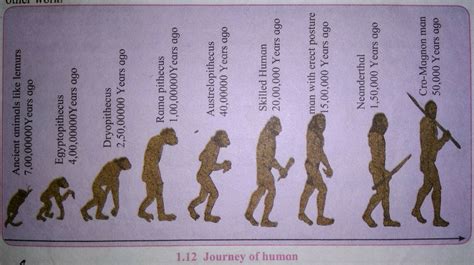 Israbi Nobela Meaning Brainly