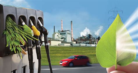 What Is Bioenergy | Biofuels