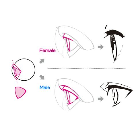 Tips for Drawing Male and Female Eyes – Part 2 - Anime Art Magazine