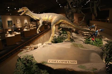 Dakota Dinosaur Museum (Dickinson) - 2021 All You Need to Know BEFORE ...