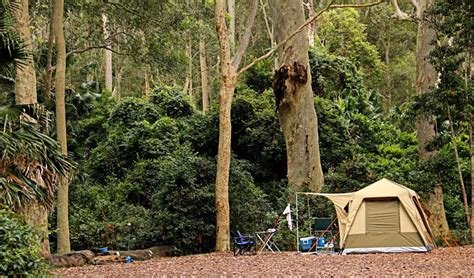 Depot Beach campground | NSW National Parks