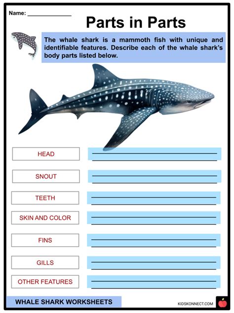 Whale Shark Worksheets | Taxonomy, Physiology, Size, Speed, Habitat ...