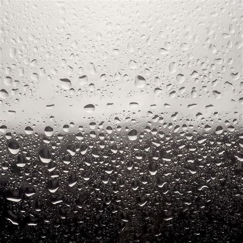 Rainy Window Wall Art | Photography