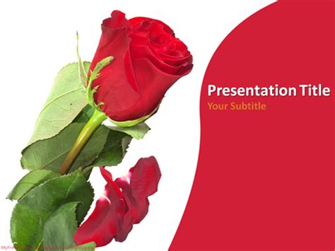 Free Red Rose PowerPoint Template - Download Free PowerPoint PPT