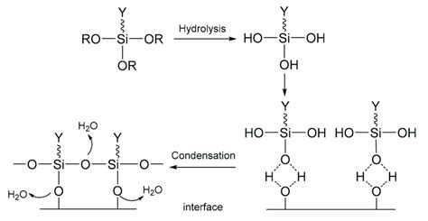 Action mechanism of the silane coupling agent. | Download Scientific ...