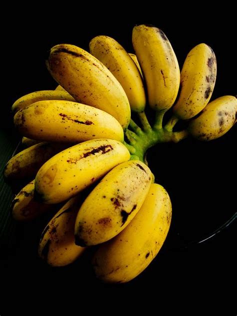 Pisang Emas | Exotic fruit, Fruit world, Banana fruit