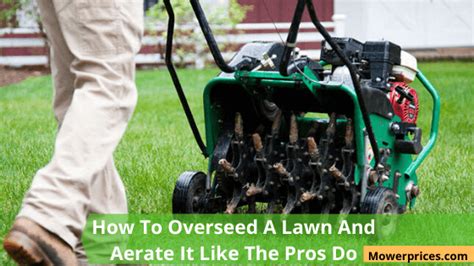 How To Core Aerate Your Lawn Like The A Pro This Fall