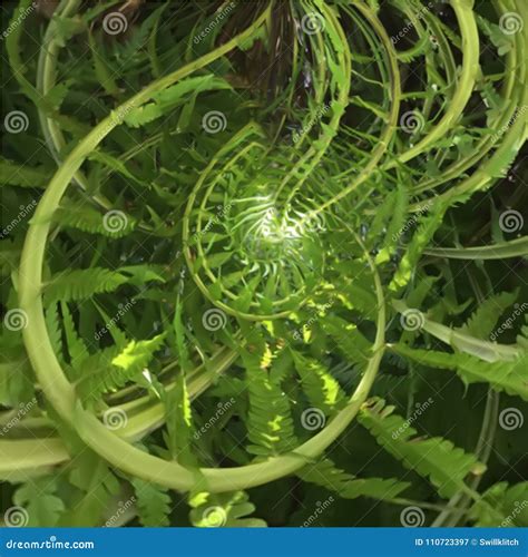 Abstract spiral of fern stock vector. Illustration of light - 110723397