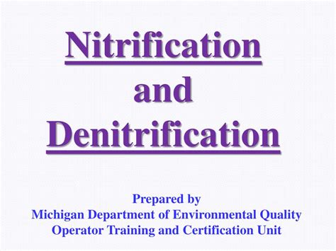 Denitrification Equation