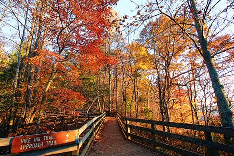 Fall in Blue Ridge | The Best Things to Do in Blue Ridge, Georgia