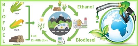 The Benefits of Biofuel Production