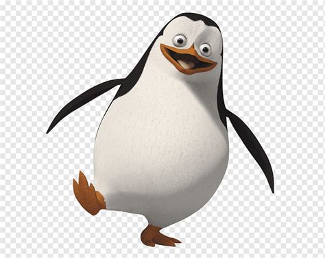 Penguins Of Madagascar Private And Skipper