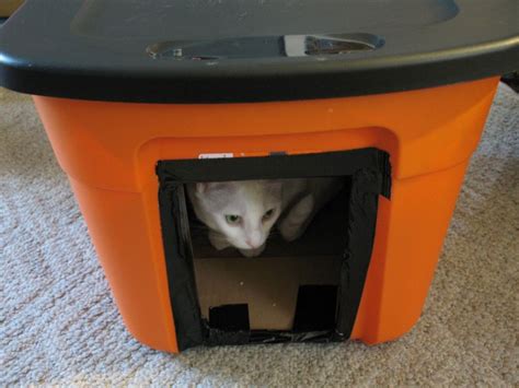 Insulated cat house for winter diy ~ Learning knowing