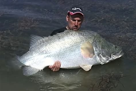 114-Pound Nile Perch Tests Angler's Strength and Skill In Egypt - Wide ...