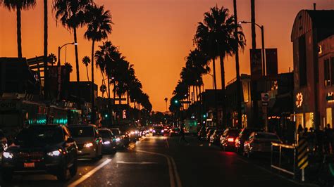 lights, sunset, building, palm trees, Los Angeles, city, street ...