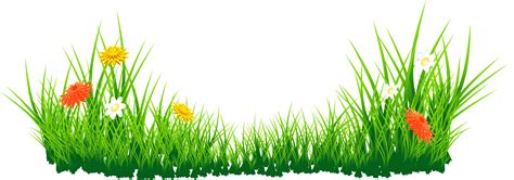 Green Grass Clipart - Cliparts.co