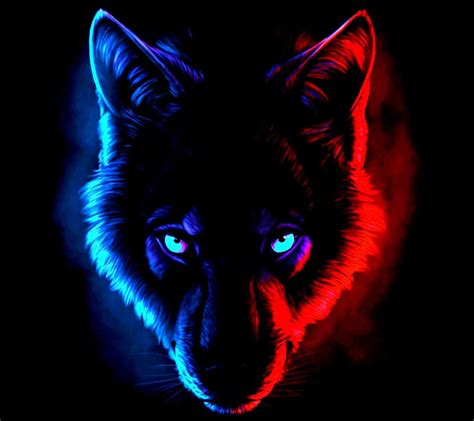 Download Intense Red and Blue Wolf Wallpaper | Wallpapers.com