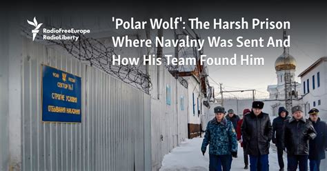 'Polar Wolf': The Harsh Prison Where Navalny Was Sent And How His Team ...