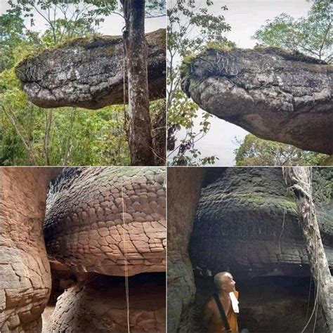 Giant snake petrified in rare Thailand cave