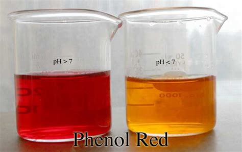 Phenol red