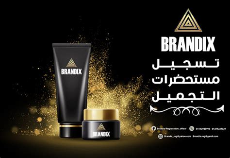 BRANDIX on Behance