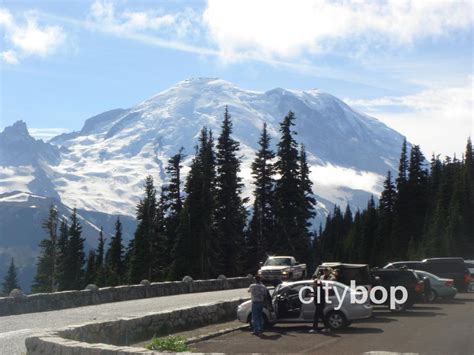 10 BEST Things to Do in Sunrise Mt Rainier