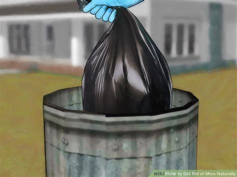 3 Ways to Get Rid of Mice Naturally - wikiHow