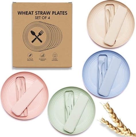 Everything You Need To Know About Wheat Straw Plates