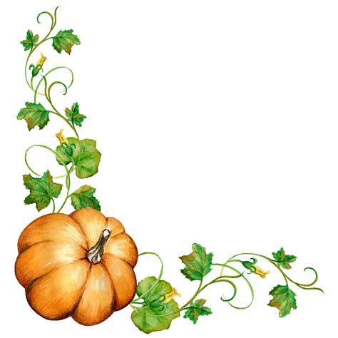 Corner curb, edge. Pumpkin branch with leaves on a transparent ...