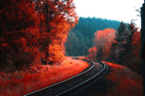 Railway Autumn Forest Wallpaper,HD Nature Wallpapers,4k Wallpapers ...